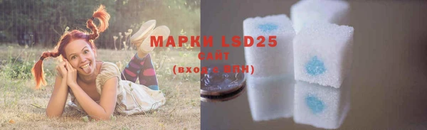 индика Новый Уренгой