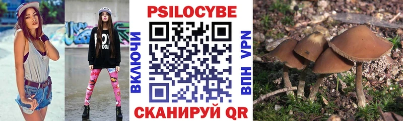 Галлюциногенные грибы Psilocybine cubensis  купить закладку  Туапсе 