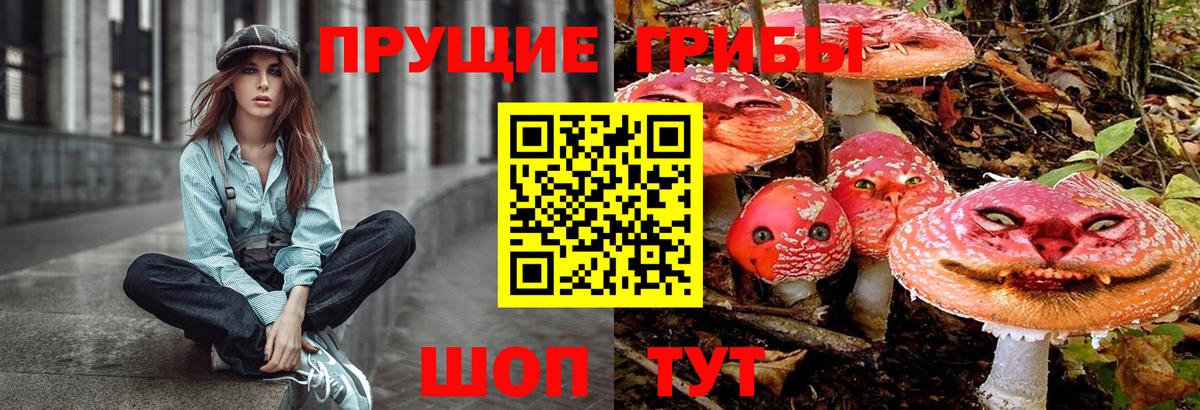 Галлюциногенные грибы мицелий Туапсе